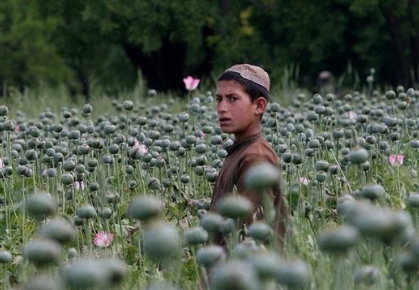 Orosz segítséggel az afgán drog ellen 