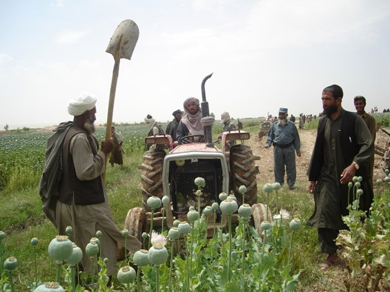 A NATO és Afganisztán: negyvenszer több heroin
