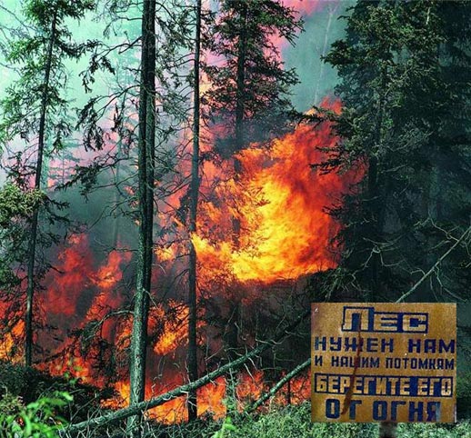 Újabb erdőtüzek Oroszországban 