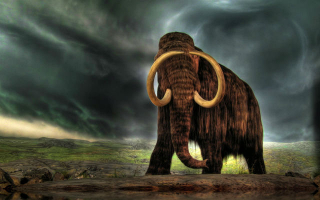 Klónozott mamutok Szibériában?
