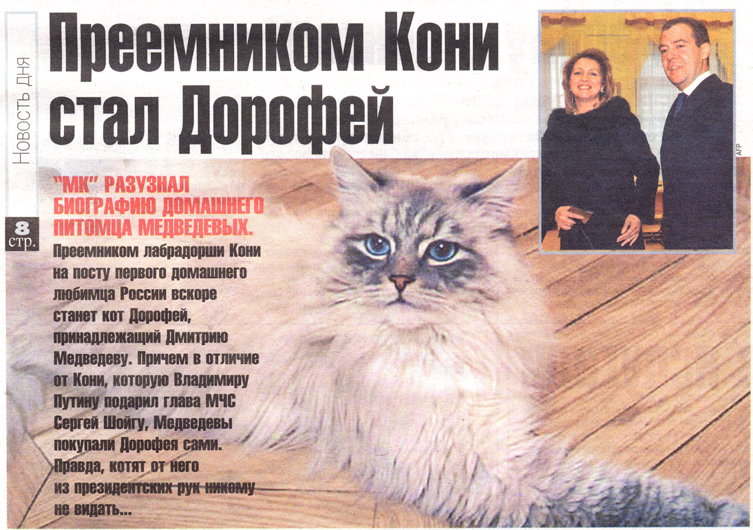 Medvegyev macskája tarolt a Twitteren