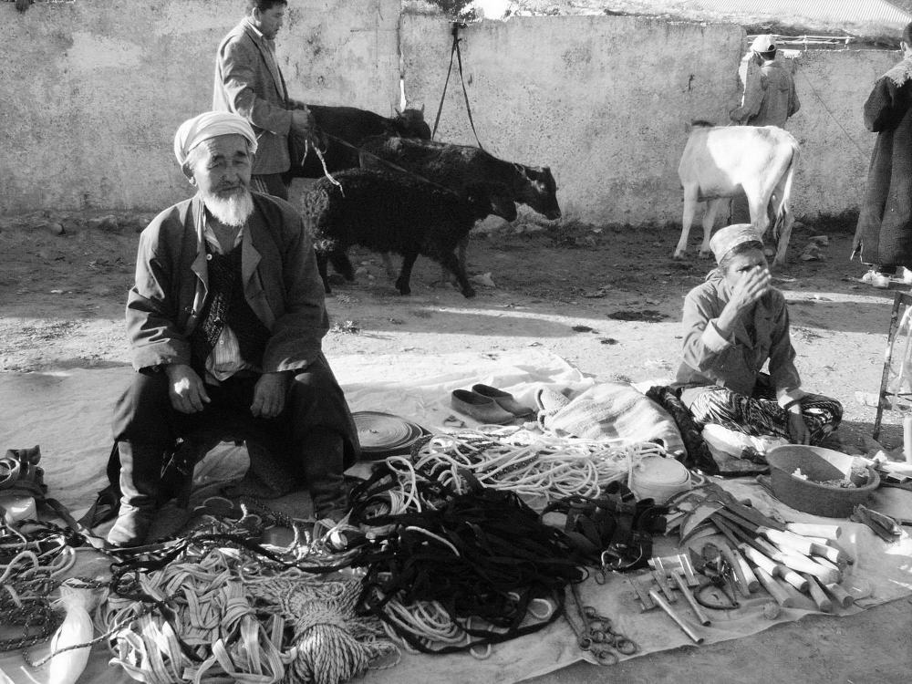 Állatvásár Üzbegisztánban 