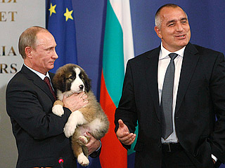 Egy ötéves fiú adott nevet Putyin kutyájának