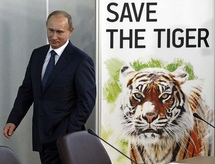 Putyin, DiCaprio és a tigrisek 