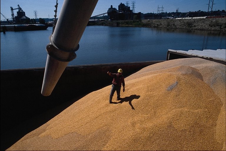 Ukrajna a világ harmadik gabonaexportőre lett